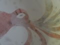 DSC05936