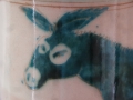 Eselsgesicht